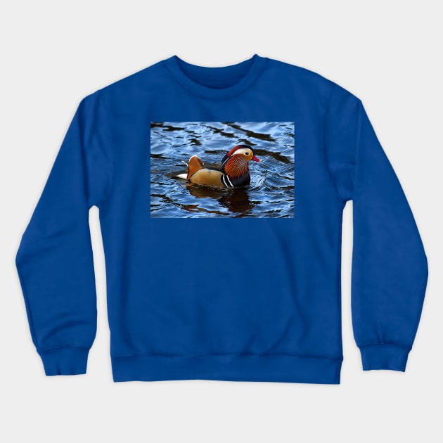 Mandarin duck Crewneck Sweatshirt by Violaman